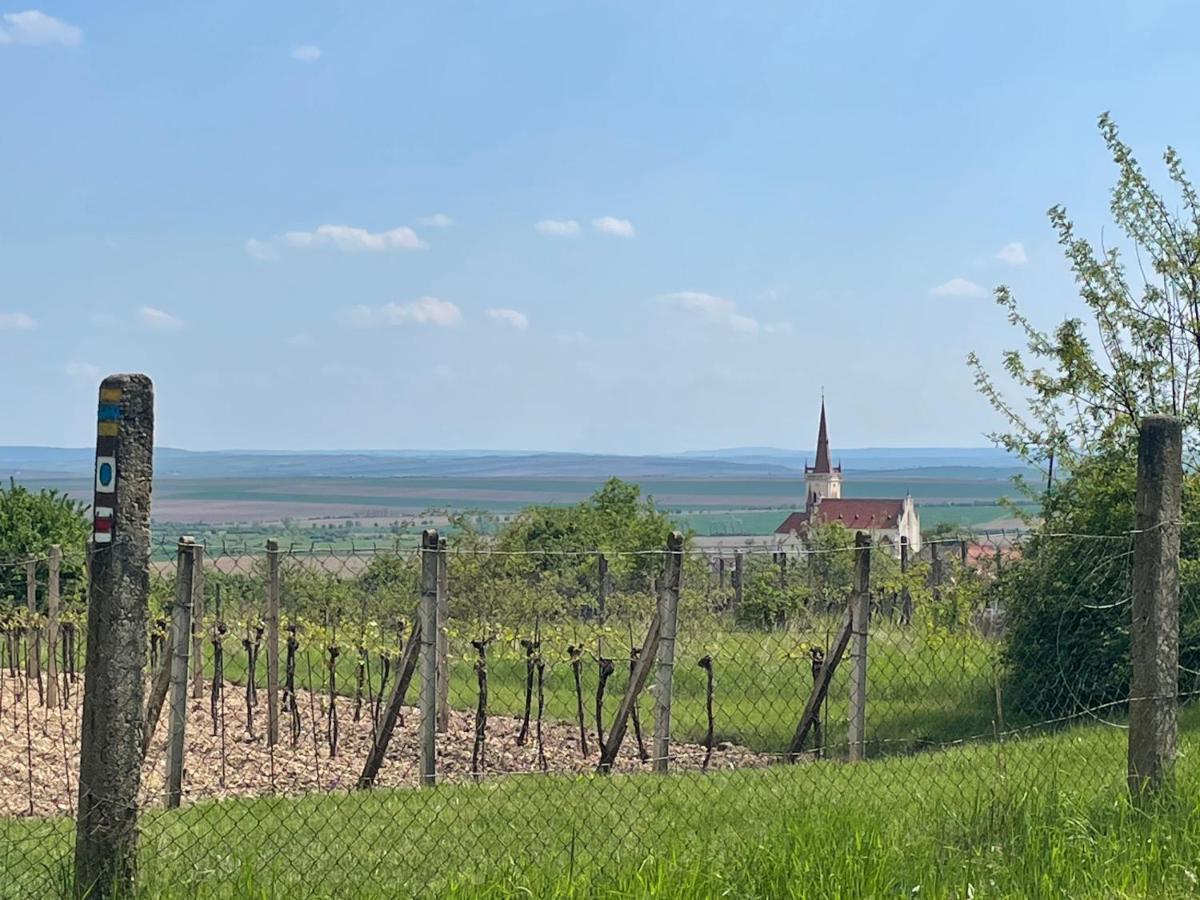 Apartman U Brezinu Znojmo Buitenkant foto